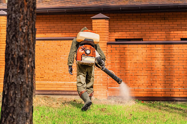 Bed Bug Clearance Verification and Documentation in Pine Island